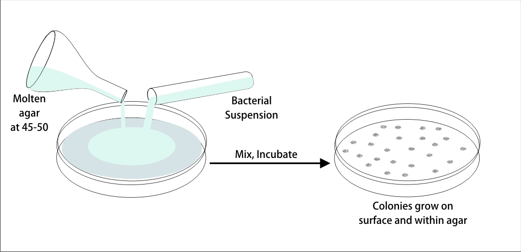 Familiarize with culture media-the growth and survival media of microorganisms 4 图4